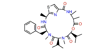 Guineamide B